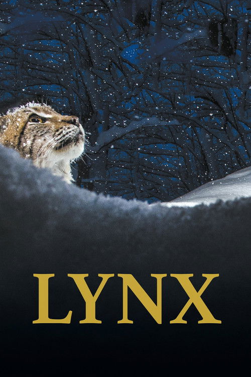 Lynx Poster