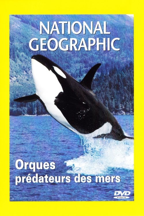 Orcas, Predators of the Seas Poster