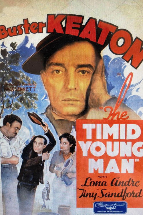 The Timid Young Man Poster