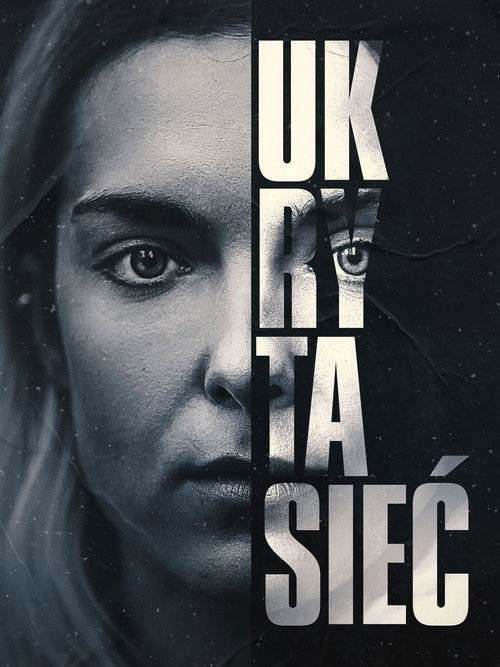 The Hidden Web Poster