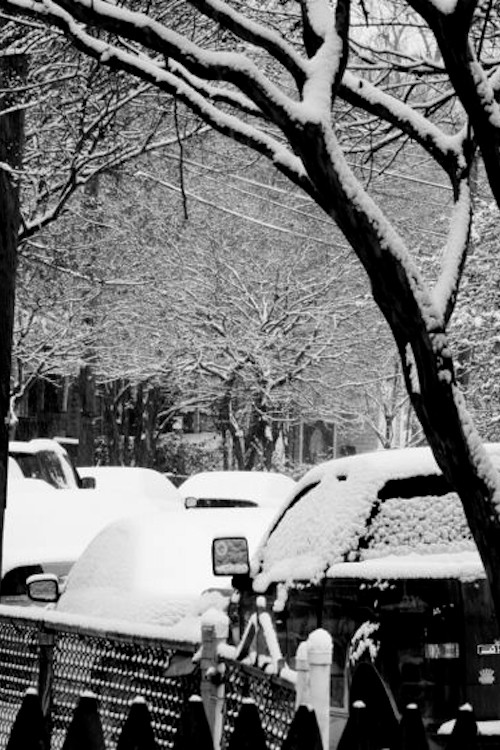 Goodbye, Snoball Poster