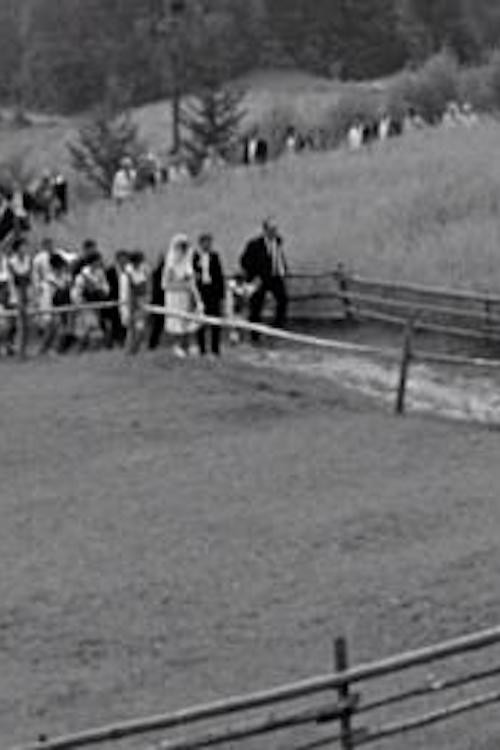 Sloping Fields Poster