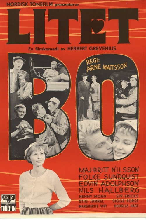 Litet bo Poster
