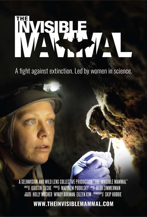 The Invisible Mammal Poster