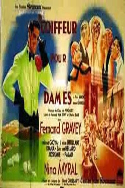 Ladies Hairdresser Poster