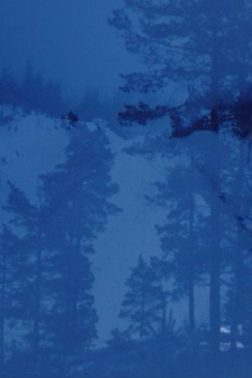 Winterfarbe II Poster