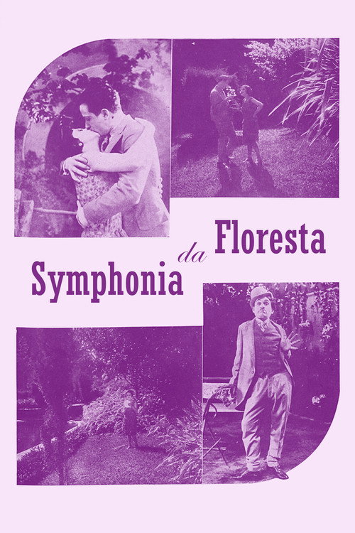 Sinfonia da Floresta Poster