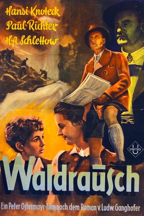Waldrausch Poster