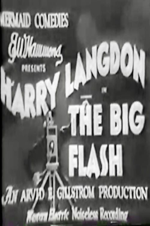 The Big Flash Poster