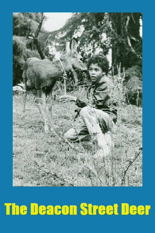 The Deacon Street Deer Poster