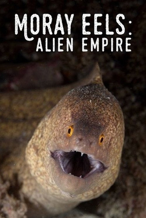 Moray Eels: Alien Empire Poster