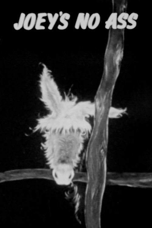 Joey's No Ass Poster