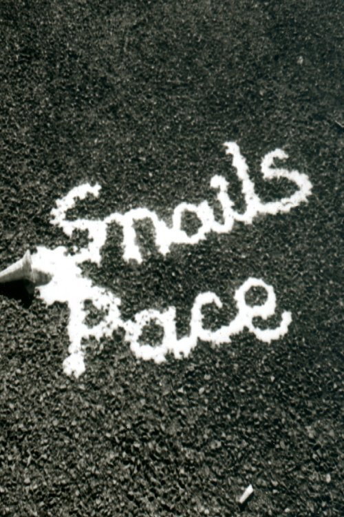 Snail's Pace Poster