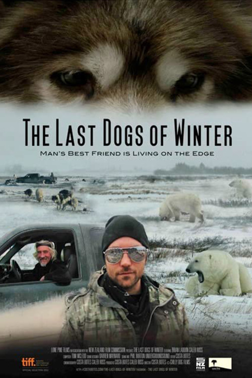 The Last Dogs of Winter Poster