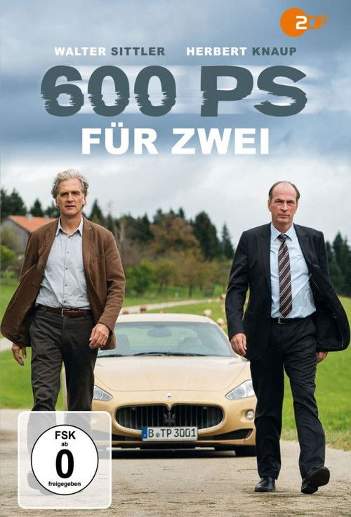 600 PS für zwei Poster