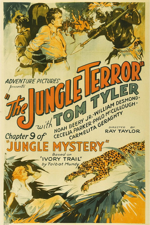 Jungle Mystery Poster