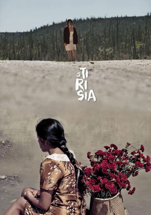 Perpetual Sadness Poster