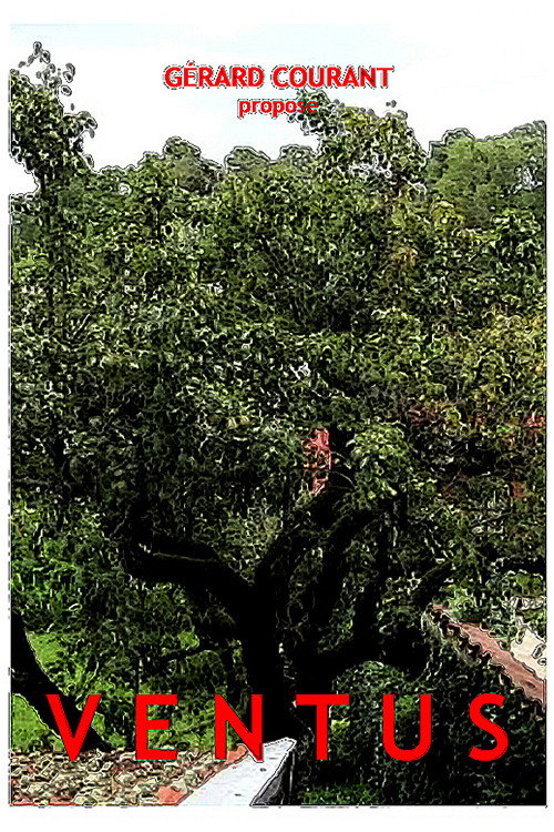 Ventus Poster