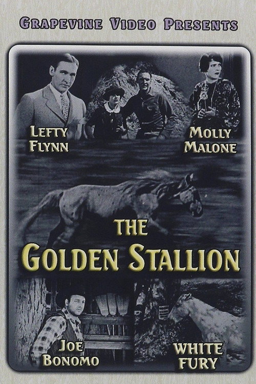 The Golden Stallion Poster