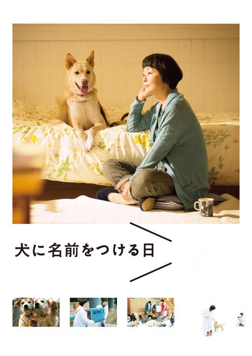 Dogs Without Names Poster