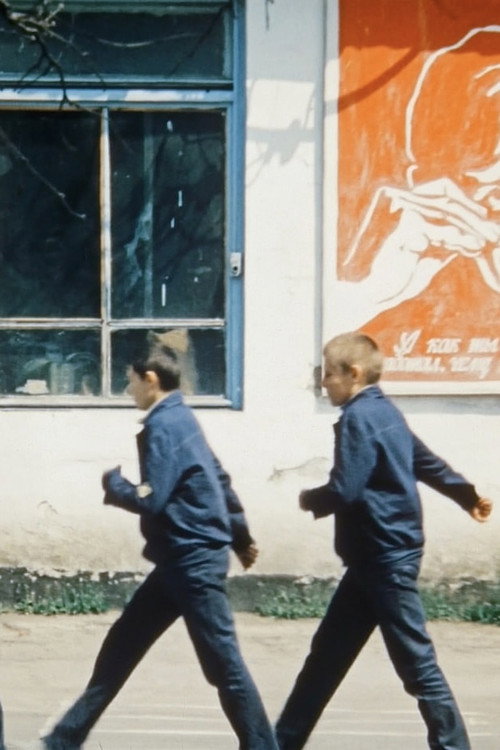 Contrary to Common Sense Poster