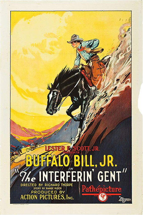 The Interferin' Gent Poster