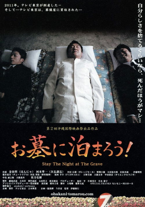 Stay the Night at the Grave Poster