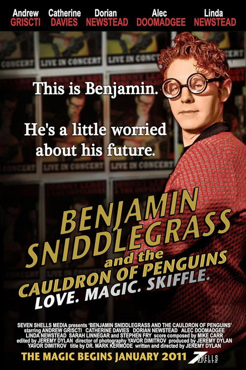 Benjamin Sniddlegrass and The Cauldron of Penguins Poster