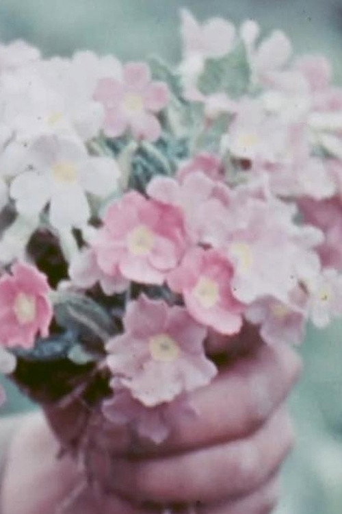 S.E. Tibet and E. Bhutan Poster