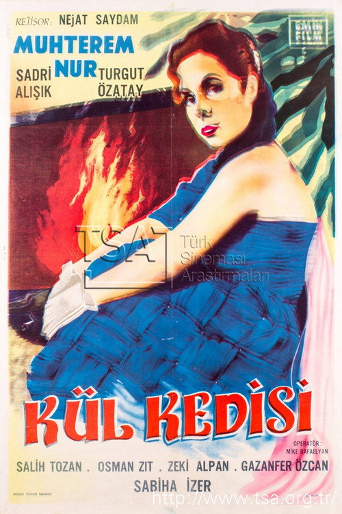 Kül Kedisi Poster