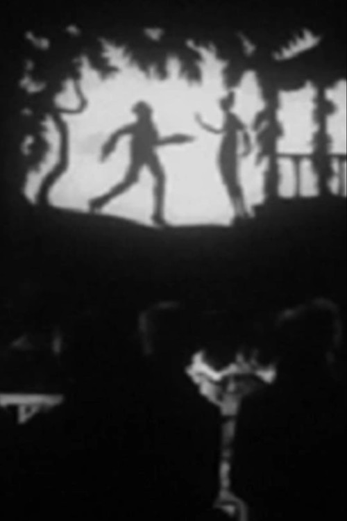 The Lost Shadow Poster