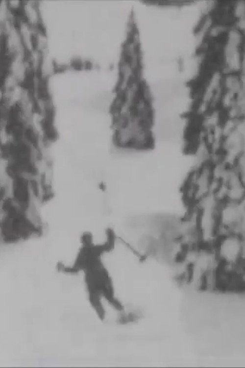 Skiing Poster