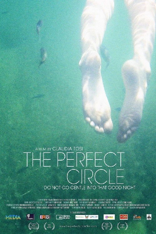 The Perfect Circle Poster