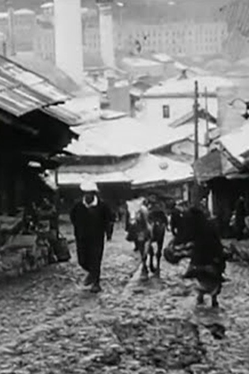 Sarajevo, the Capital of Bosnia Poster