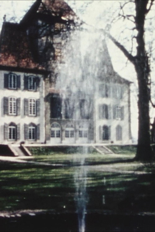 13 Bern Museums Poster