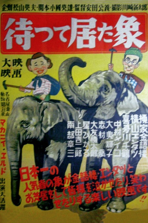 The Elephant Who Waited Poster