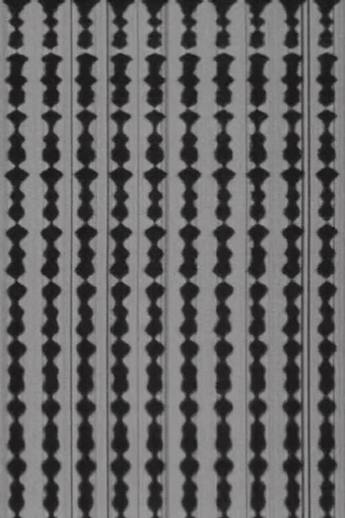 Berglund Sound Recordings Poster