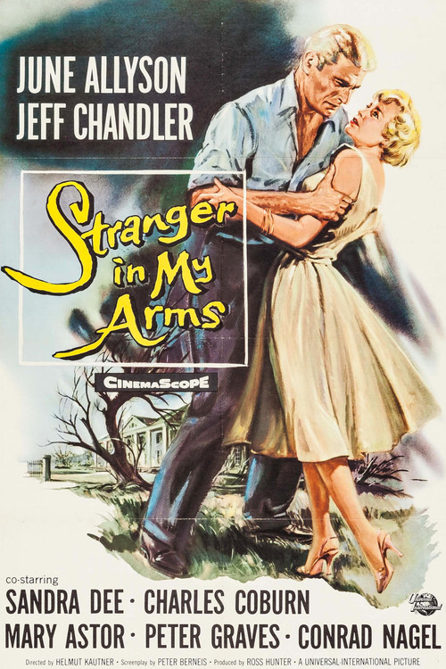 A Stranger in My Arms Poster