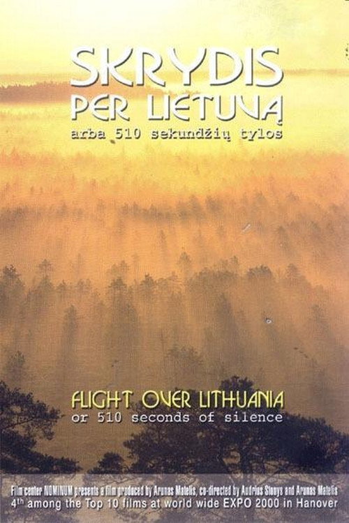 Flight Over Lithuania or 510 Seconds of Silence Poster