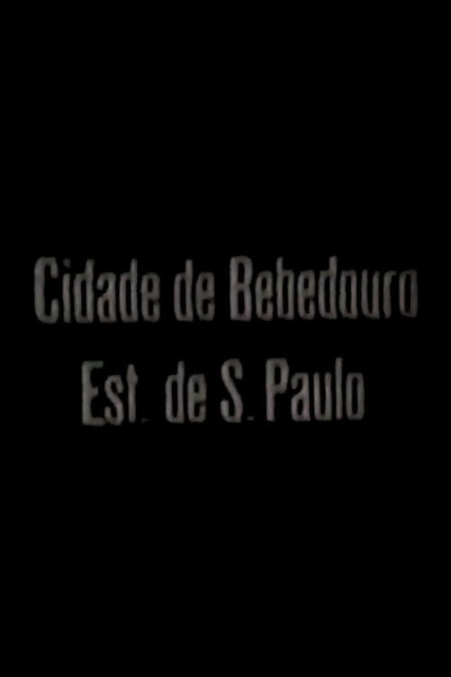 Cidade de Bebedouro - Est. de São Paulo Poster