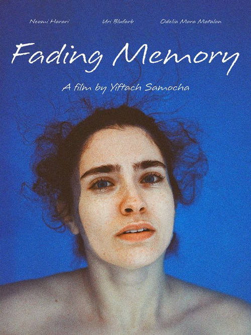 Fading Memory Poster