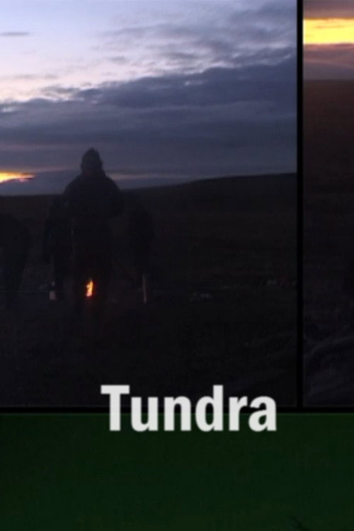 Tundra Poster