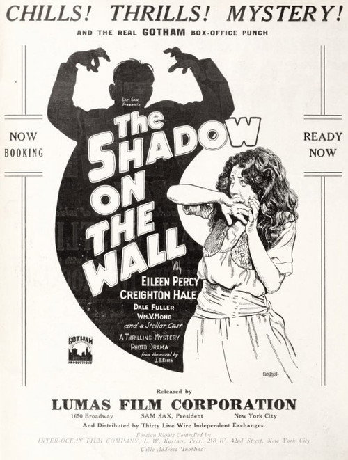 The Shadow on the Wall Poster