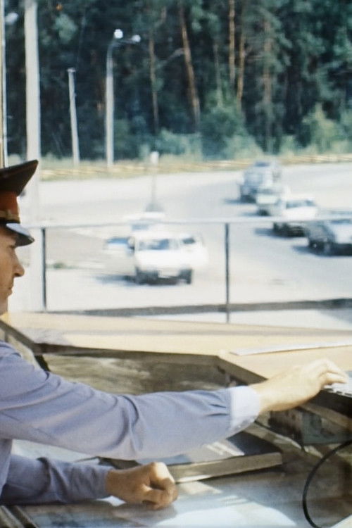 Search and apprehension of stolen vehicles Poster