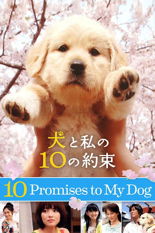 10 Promises to My Dog Poster