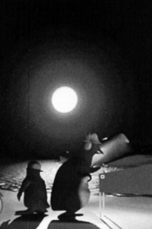 La véritable histoire du Titanic Poster