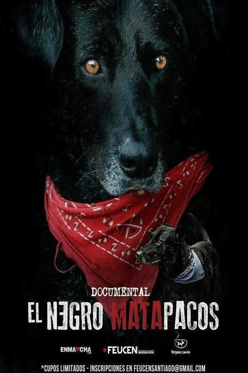 Matapaco Poster