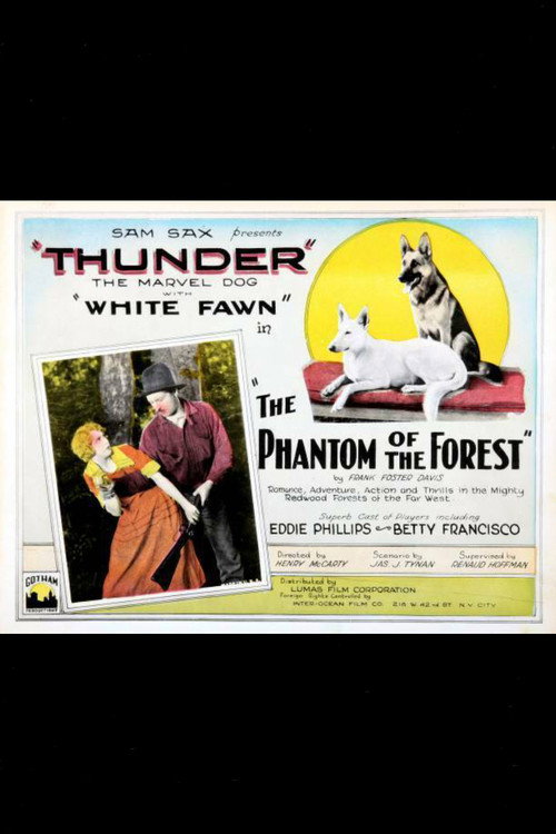 The Phantom of the Forest Poster