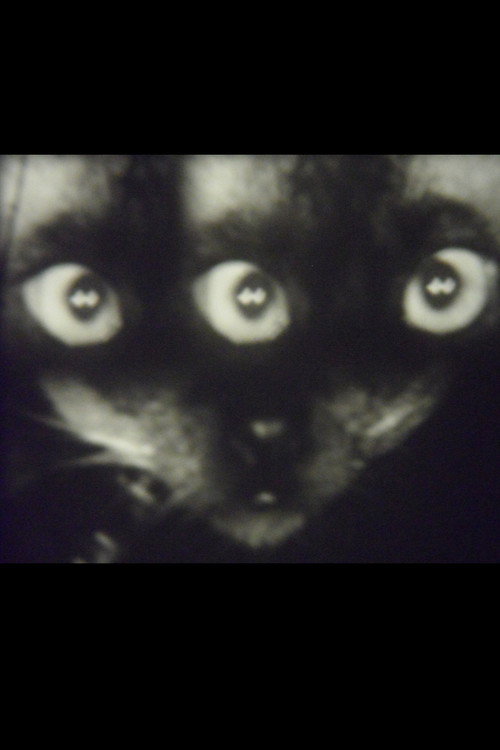 Wee Gee’s Camera Magic Poster