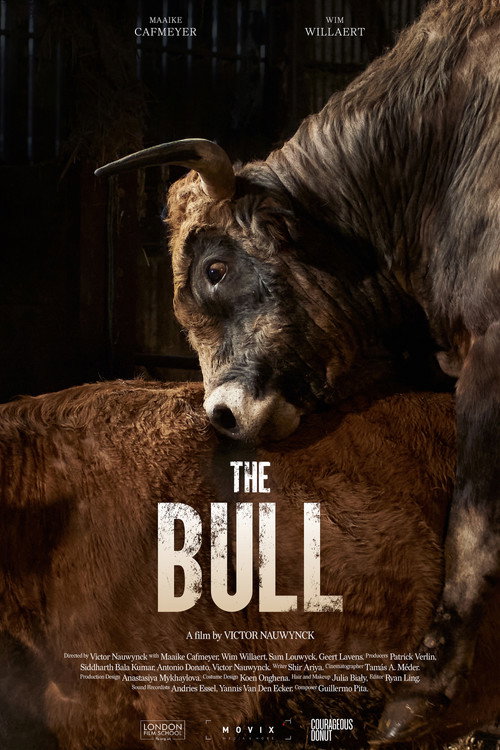 The Bull Poster